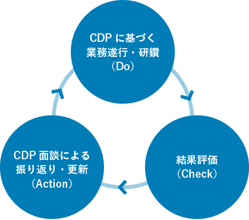 CDP実施サイクル